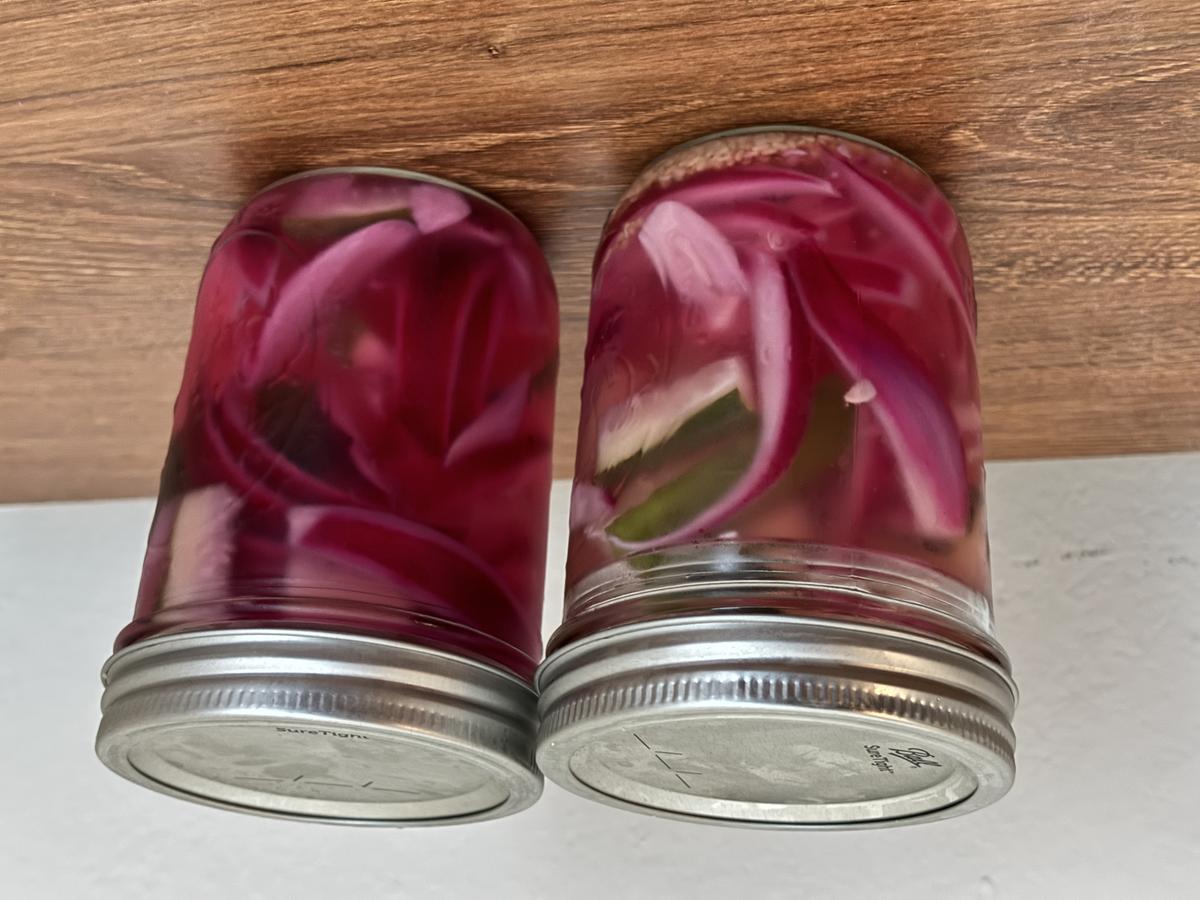 pickled_red_onions.jpeg